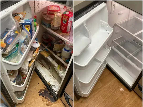 Dirty fridge before and after professional cleaning